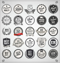 Set of Retro vintage labels and badges