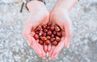 Close up of girl holding fresh nuts in hand