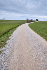 Countryside springtime landscapee with bare trees and a long and winding gravel road leading to the horizon