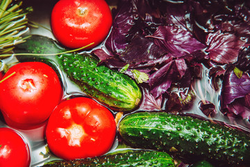 Fresh vegetables in water. Tomato, cucumber, greens, basil, green onions, parsley. Healthy food. Summer diet salad