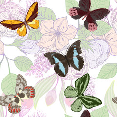 Beautiful seamless pattern with flowers Chamomile and butterflies. Vector illustration. EPS 10.