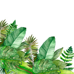 Watercolor hand painted corner frame with green jungle tropical leaves on the white background with the space for text