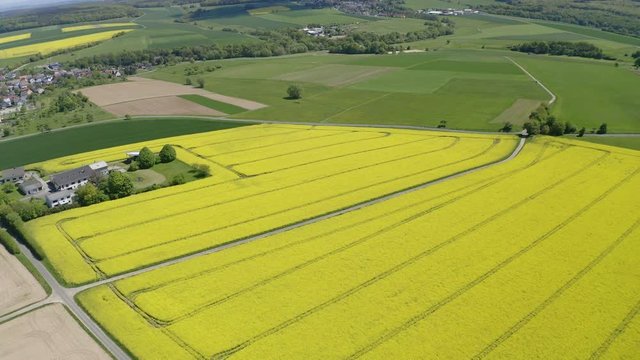 Aerial view, flight over agriculture with cereal fields and rapeseed cultivation, Sch&ouml;ffengrund, Schwalbach, Hochtaunuskreis, Hesse, Germany