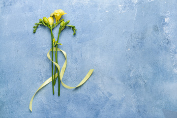 Beautiful freesia flowers on color background