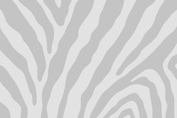 Vector abstract background. Illustration of zebra pattern