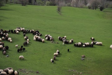 amazing village photos and mountain landscapes.artvin/savsat/turkey