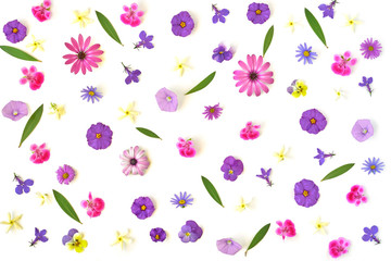 Flowers composition. Pattern made of colorful flowers on white background. Flat lay, top view