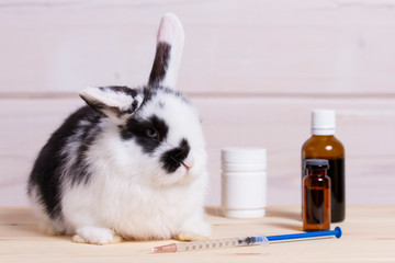 little rabbit on wooden background with a can of vitamins and a vaccine. Vitamin problem, vaccination, treatment