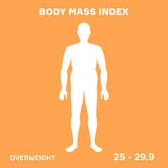 characterizing male silhouette for overweight stage of body mass index
