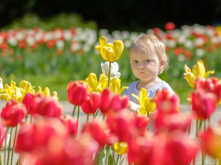 Little girl on the background of blooming tulips.