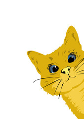 Illustration of a cute cat