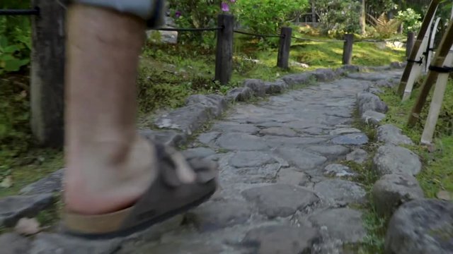 Footsteps on a Japanese Garden Pathway