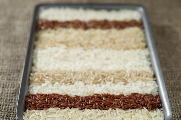 Ten different varieties of rice in rectangular dish on the background of sacking. Selective focus.