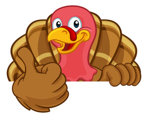 Turkey Thanksgiving or Christmas bird animal cartoon character peeking over a background sign giving a thumbs up