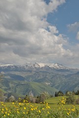 Obraz premium amazing village photos and mountain landscapes.artvin/savsat/turkey