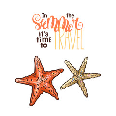 Fototapeta na wymiar Vector seashells sketches. Lettering: In the summer it is time to travel.