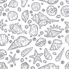 Vector sketching illustrations. Different types of seashells.