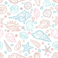 Vector sketching illustrations. Different types of seashells.