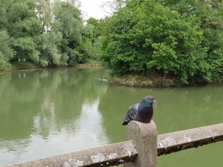 Balade le long de la Marne