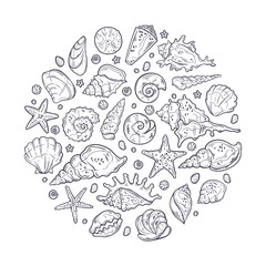 Vector sketching illustrations. Different types of seashells.