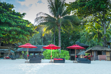Tropical background from Phangan  island in Thailand with beach chair on green meadow with blue sky and palm trees. Travel Vacation concept