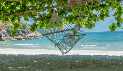 View of hammocks on tropical beach on the Phangan island, Thailand. Beautiful tropical island with sand beach, palm trees. Travel concept