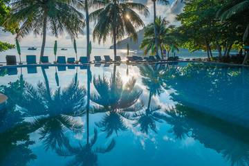 Contour shadow of palm trees at the waterpool on the beach against the sunrise at Phangan island of Thailand