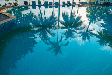 Contour shadow of palm trees at the waterpool on the beach against the sunrise at Phangan island of Thailand
