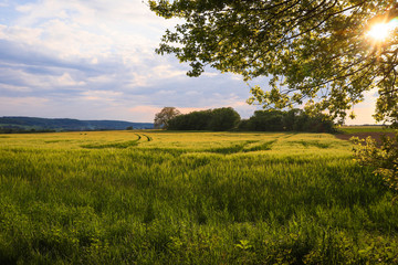 Landschaftimpression aus dem Biosphärenreservat Bliesgau im Saarland, Deutschland