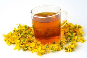 St. John's wort infusion.. Hypericum perforatum