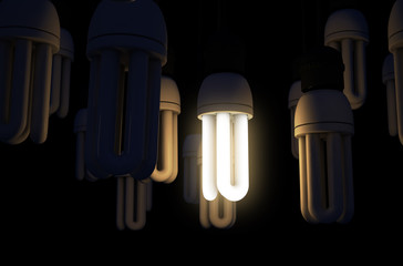 Single Light Bulb Illuminated In Collection