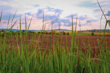 Rural landscape in Bliesgau. Saarland, western Germany on a cloudy yet bright afternoon in the...