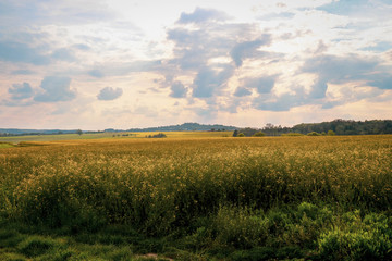 Rural landscape in Bliesgau. Saarland, western Germany on a cloudy yet bright afternoon in the...