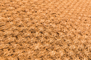 Blank Home Sweet Home Welcome Mat Isolated on a White Background Ready For Your Own Text.