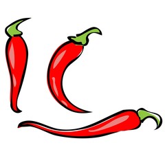 Chilli pepper isolated on white background. Chili chile pepper fruit of plants from the genus Capsicum. Red hot pepper icon realistic vector illustration in flat style . Kitchen spice condiment.