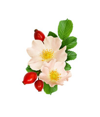 Floral composition with wild rose flowers and berries