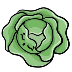 Illustration of a cute vegetable cabbage