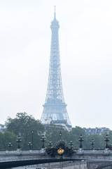 Fototapeta na wymiar Panoramic Eiffel Tower of Paris France