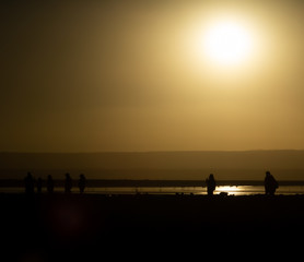Tourists silhouettes at sunset near lake, backlit