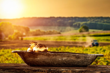 Wooden plate of fresh potatoes and summer sunset time 