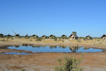 Fototapeta na wymiar BOTSWANA (safari fotografico)