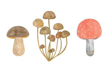 Hand drawn composition of watercolor autumn forest mushrooms, isolated objects on the white background, seasonal watercolor illustration, symbol of autumn forest