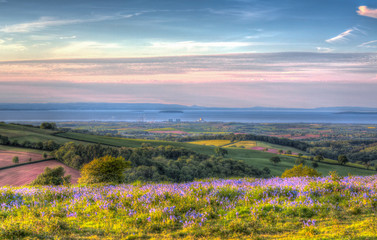 Quantock Hills Somerset towards Hinkley Point Nuclear Power Station with bluebell flowers in...