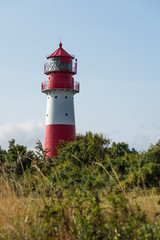 Fototapeta na wymiar Leuchtturm Falshöft an der Ostsee in Schleswig-Holstein