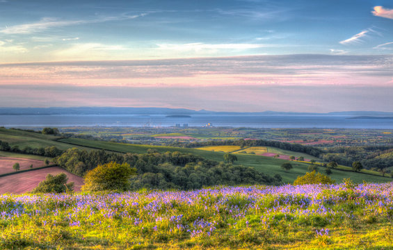 Quantock Hills Somerset towards Hinkley Point Nuclear Power Station with bluebell flowers in colourful HDR like a painting