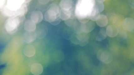 Green bio background, abstract blurred foliage bright sunlight. Organic design nature abstract background with copyspace for text advertising design. Green abstract light background and bokeh effect