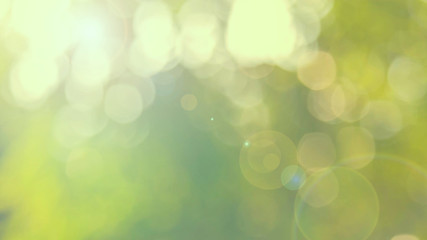 Fototapeta premium Nature yellow bokeh sun light flare and blur leaf abstract texture background, blurred natural green leaves yellow background. Stock image of bokeh light from the sun through the leaves with copyspace