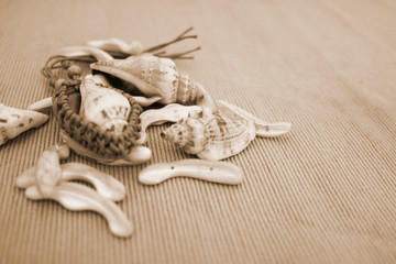 Composizione marina con delle conchiglie e lo sfondo a righe, effetto seppia