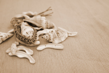 Composizione marina con delle conchiglie e lo sfondo a righe, effetto seppia
