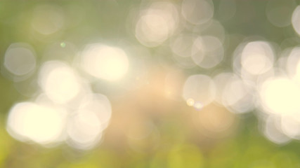 Obraz premium Nature yellow bokeh sun light flare and blur leaf abstract texture background, blurred natural green leaves yellow background. Stock image of bokeh light from the sun through the leaves with copyspace